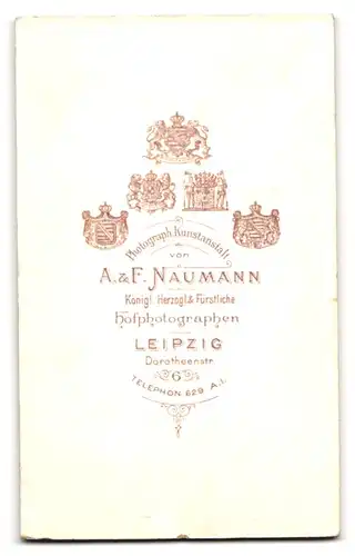 Fotografie A.&F. Naumann, Leipzig, Dorotheenstr. 6, Frau mit Dutt guckt Mann mit Schnauzbart an