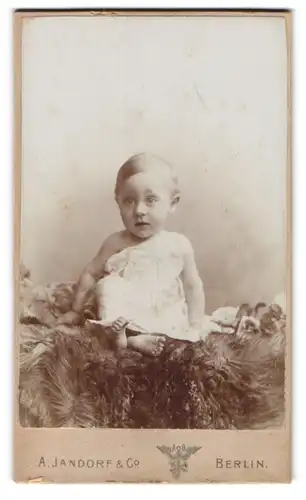 Fotografie A. Jandorf & Co., Berlin, C. Spittelmarkt 16 /17, Kleines Kind im Kleid sitzt auf Fell