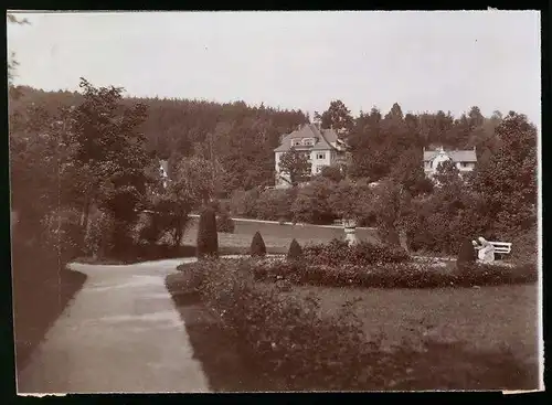 Fotografie Brück & Sohn Meissen, Ansicht Bad Elster, Partie im Albertpark mit Villa
