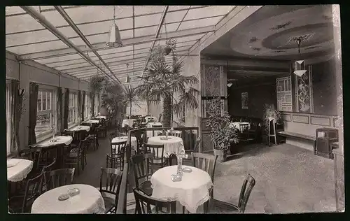 Fotografie Brück & Sohn Meissen, Ansicht Meissen i. Sa., Innenansicht des Restaurant zur Knorre im Wintergarten