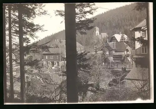 Fotografie Brück & Sohn Meissen, Ansicht Kipsdorf / Erzg., Blick aus dem Wald in den Ort mit Kosum Geschäft