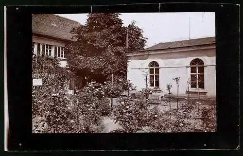 Fotografie Brück & Sohn Meissen, Ansicht Diesbar / Elbe, Partie im Gasthaus Rosengarten, Spiegelverkehrt