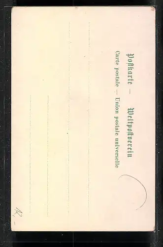 Lithographie Türkei, Verzierungen mit arabischer Kalligraphie und Ananas