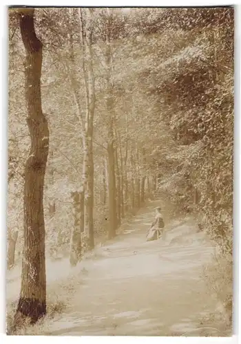 Fotografie Brück & Sohn Meissen, Ansicht Hainichen i. Sa., Waldweg im Stadtpark, Dame auf der Bank sitzend