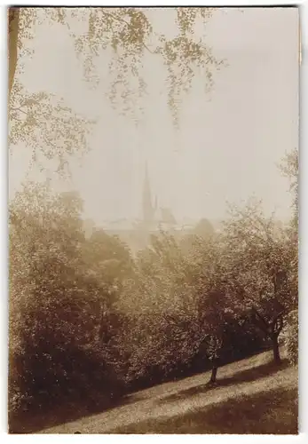 Fotografie Brück & Sohn Meissen, Ansicht Hainichen i. Sa., Blick aus dem Stadtpark nach der Trinitatiskirche
