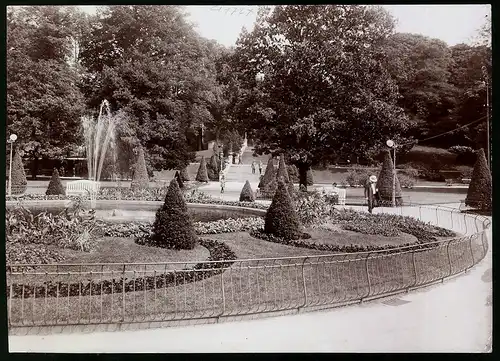 Fotografie Brück & Sohn Meissen, Ansicht Freiberg i. Sa., Partie im Albertpark an der Fontaine