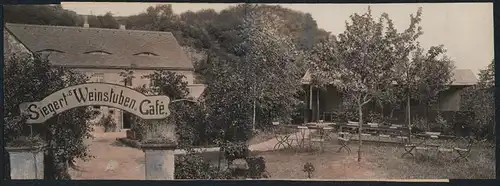 Fotografie Brück & Sohn Meissen, Ansicht Seusslitz / Elbe, Siegert's Weinstuben & Cafe mit Garten-Terrasse, Panorama