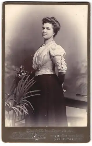 Fotografie F. W. Wood, Ort unbekannt, Elegante Frau mit hochgesteckten Haaren