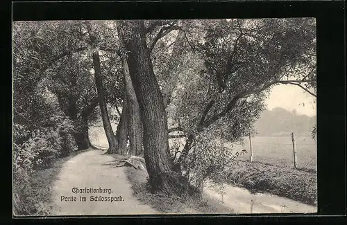 AK Berlin-Charlottenburg, Partie im Schlosspark