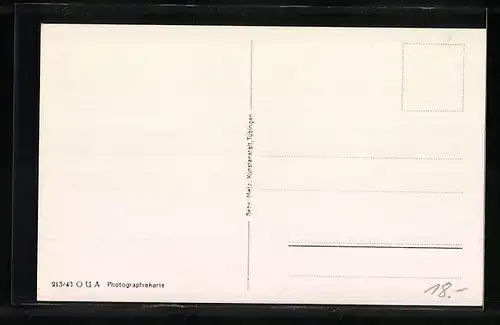 AK Titisee, Panorama mit Schwarzwald-Hotel