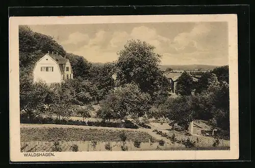 AK Waldshagen, Ortsansicht mit bestellten Gärten