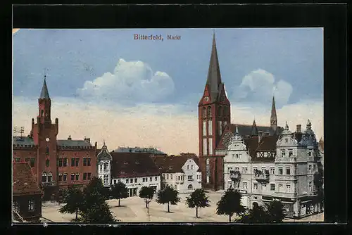 AK Bitterfeld, Markt mit Kirche und Rathaus
