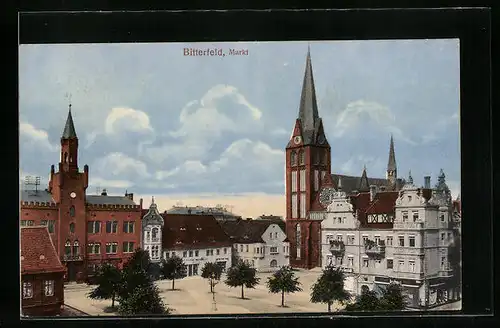 AK Bitterfeld, Rathaus und Kirche am Markt