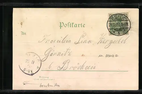 Lithographie Zeitz, Altmarkt, Stadtschule, Aubrücke