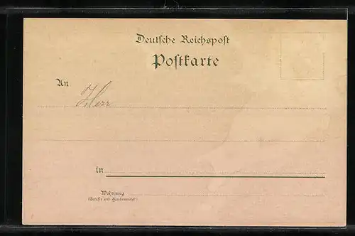 Lithographie Feldberg i. Taunus, Hotel und Pension Feldberg mit Aussicht