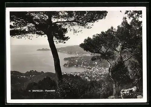 AK Rapallo, Panorama