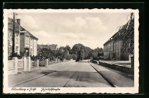 AK Oldenburg /Holst., Partie der Hoheluftstrasse