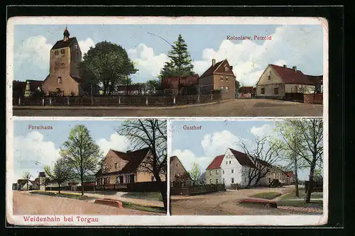 AK Weidenhain bei Torgau, Gasthof, Kolonialw. Petzold, Forsthaus
