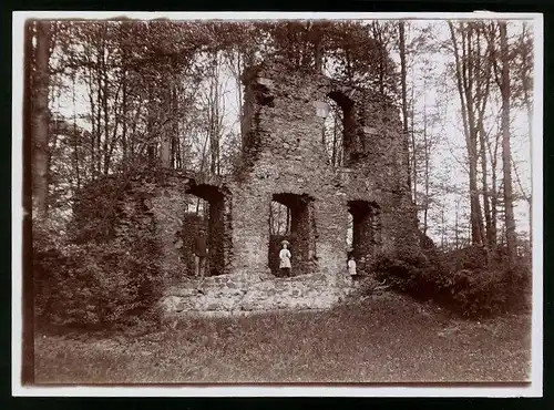 Fotografie Brück & Sohn Meissen, Ansicht Altzella, Blick auf die Ruinen des Kloster Altzella
