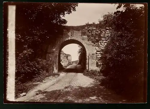 Fotografie Brück & Sohn Meissen, Ansicht Blankenburg / Harz, Toreingang der Burgruine Regenstein