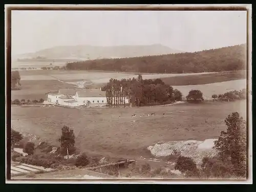 Fotografie Brück & Sohn Meissen, Ansicht Löbau i. Sa., Blick auf den Gutshof mit Kühen auf der Weide