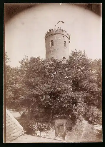 Fotografie Brück & Sohn Meissen, Ansicht Collmberg, Blick auf den Aussichtsturm am Collmberg