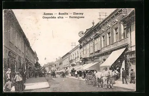 AK Zemun, Herrengasse, Gospodska ulica