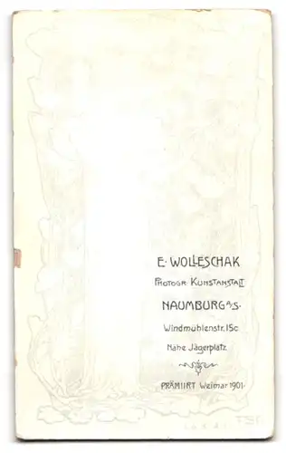 Fotografie E. Wolleschak, Naumburg a. S., Windmühlenstr. 15c, Kleines Mädchen im weissen Kleid