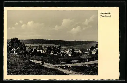 AK Buntenbock /Oberharz, Gesamtansicht Höhenluftkurort