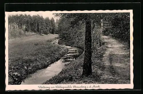 AK Strausberg i. d. Mark, Waldweg zur Schlagmühle mit Fluss
