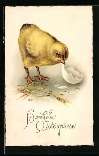 AK Osterküken mit Eierschale, Ostergrüsse