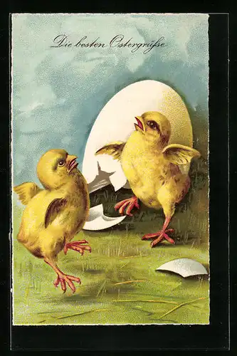 AK Zwei Osterküken mit Eierschalen auf einer Wiese