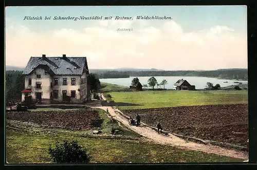 AK Schneeberg-Neustädtel, Restaurant Waldschlösschen mit Filzteich