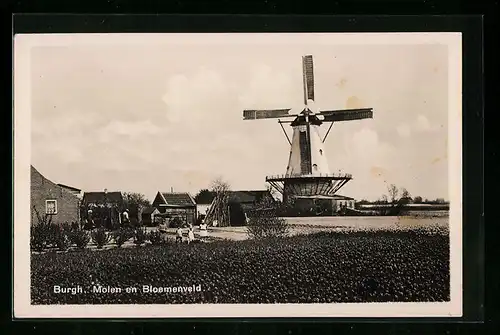 AK Burgh, Molen en Bloemenveld