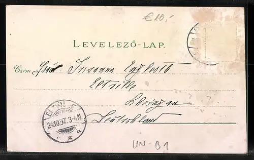 Lithographie Budapest, Totalansicht, Buda, királyi várpalota, Pest