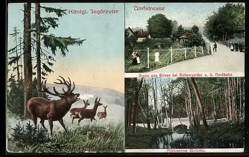 AK Briese / Nordbahn, Dorfstrasse, Steinerne Brücke, Hirsch und Rehe im Wald