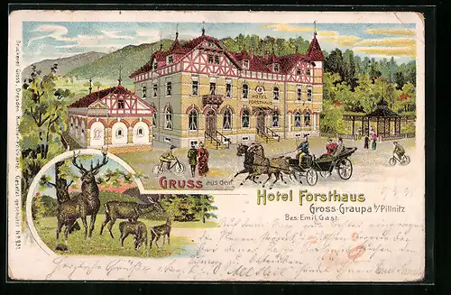 Lithographie Gross-Graupa bei Pillnitz, Hotel Forsthaus