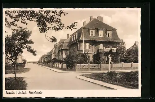 AK Raguhn i. Anhalt, Mittelstrasse mit Bäumen