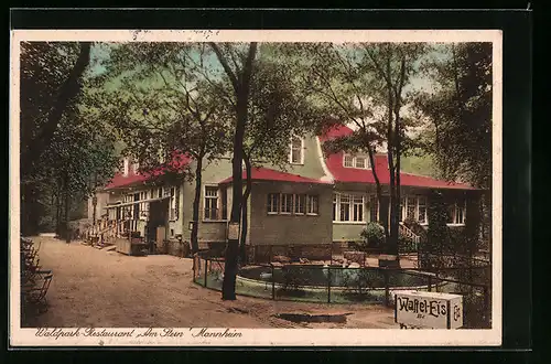 AK Mannheim, Waldpark-Restaurant Am Stern