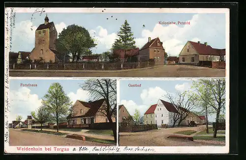 AK Weidenhain bei Torgau, Gasthof, Kolonialwarengeschäft Petzold, Forsthaus
