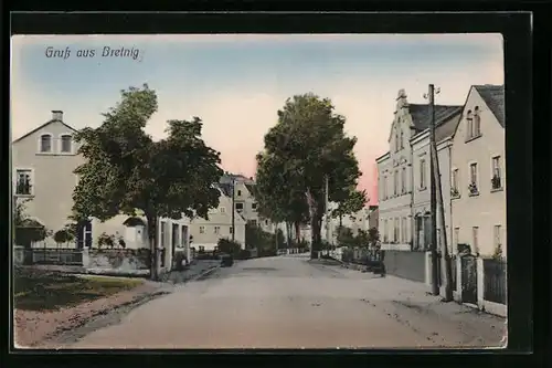 AK Bretnig, Ortsansicht mit Strassenpartie