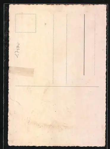 AK Cottbus, Hotel Weisses Ross