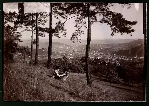 Fotografie Brück & Sohn Meissen, Ansicht Aussig / Elbe, Frau mit ihrem Hund am Berg schaut auf die Stadt