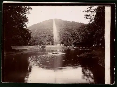 Fotografie Brück & Sohn Meissen, Ansicht Bad Lauterberg / Harz, Partie am Teich im Wissmannpark mit Fontaine