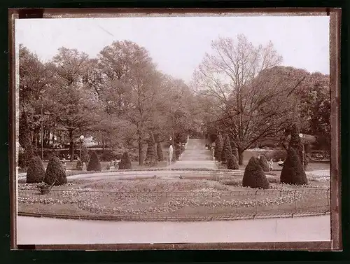 Fotografie Brück & Sohn Meissen, Ansicht Freiberg i. Sa., Partie in den Anlagen im Albertpark