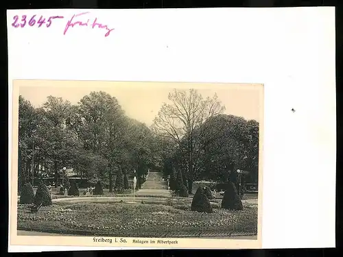 Fotografie Brück & Sohn Meissen, Ansicht Freiberg i. Sa., Partie in den Anlagen im Albertpark