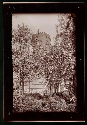 Fotografie Brück & Sohn Meissen, Ansicht Collmberg, Blick zum Aussichtsturm auf dem Collmberg in der Baumblüte