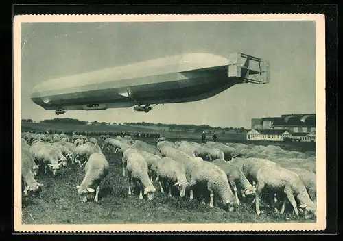 AK Schafherde interessiert sich nicht die Bohne für das Luftschiff, Zeppelin an der Werft