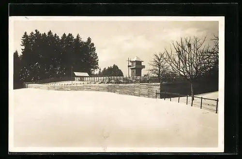 AK Hergatz /Allg., Silberfuchs- und Edelpelztierfarm