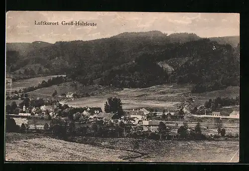 AK Gross-Holzleute, Ansicht vom Luftkurort mit Bergen